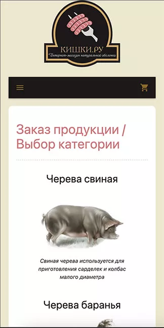 Mobile view